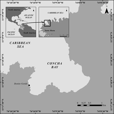 <mark class="highlighted">First record</mark> of the dinoflagellate Prorocentrum borbonicum in the continental coast of Colombian Caribbean: A new 42 hydroxi-palytoxin producer